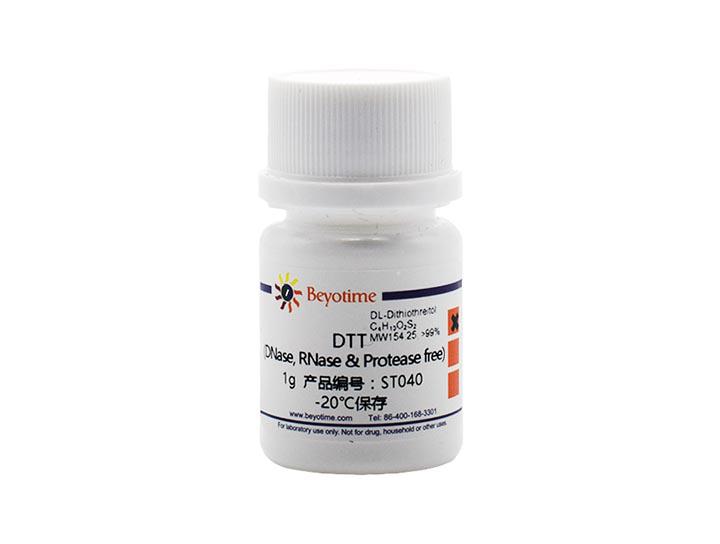 DTT (DNase, RNase & Protease free)